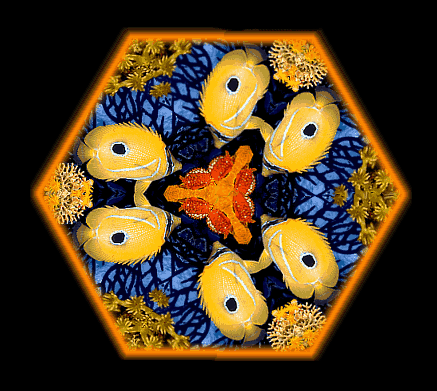A yellow butterfly fish and its coal prey and habitat altered into new patterns of perception. &copy; http://www.thread-of-awareness-in-chaos.com/order.html